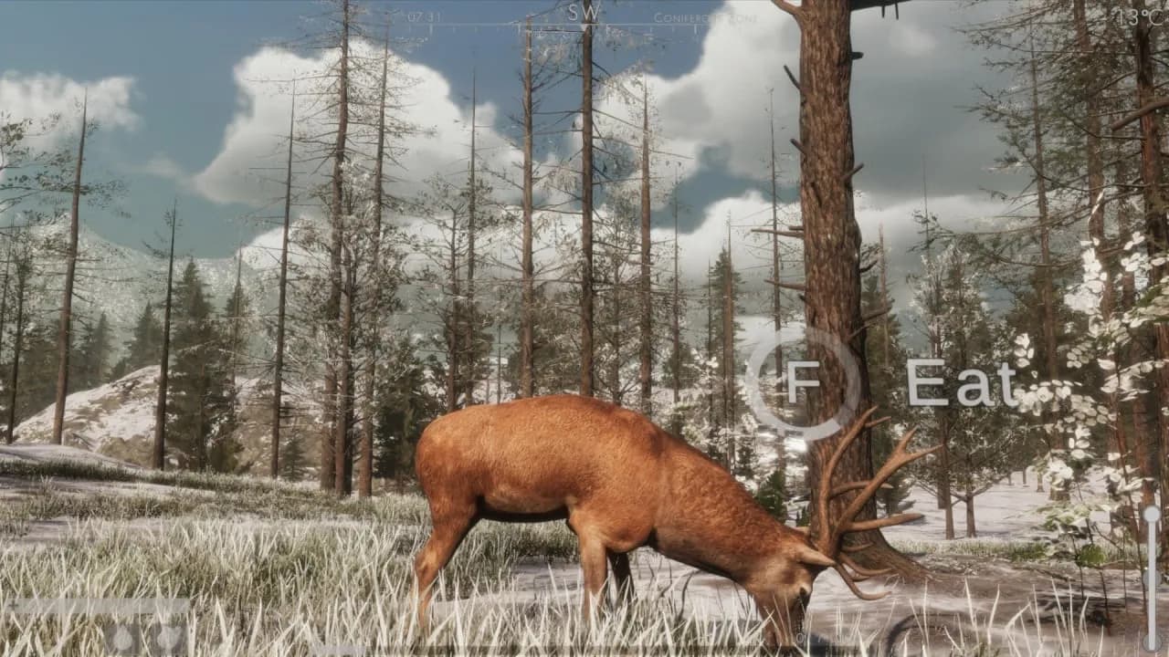The WILDS — скриншот 4