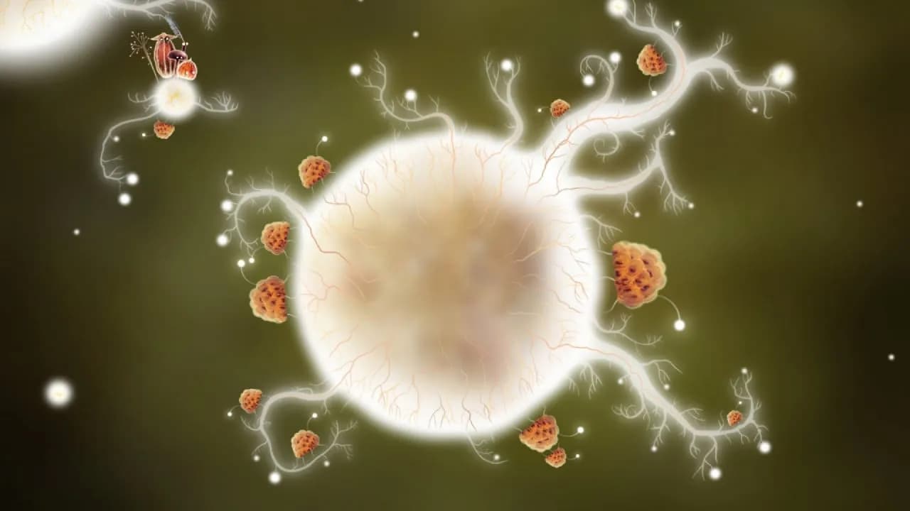 Botanicula — скриншот 7