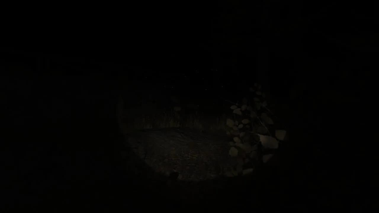 Damned — скриншот 8