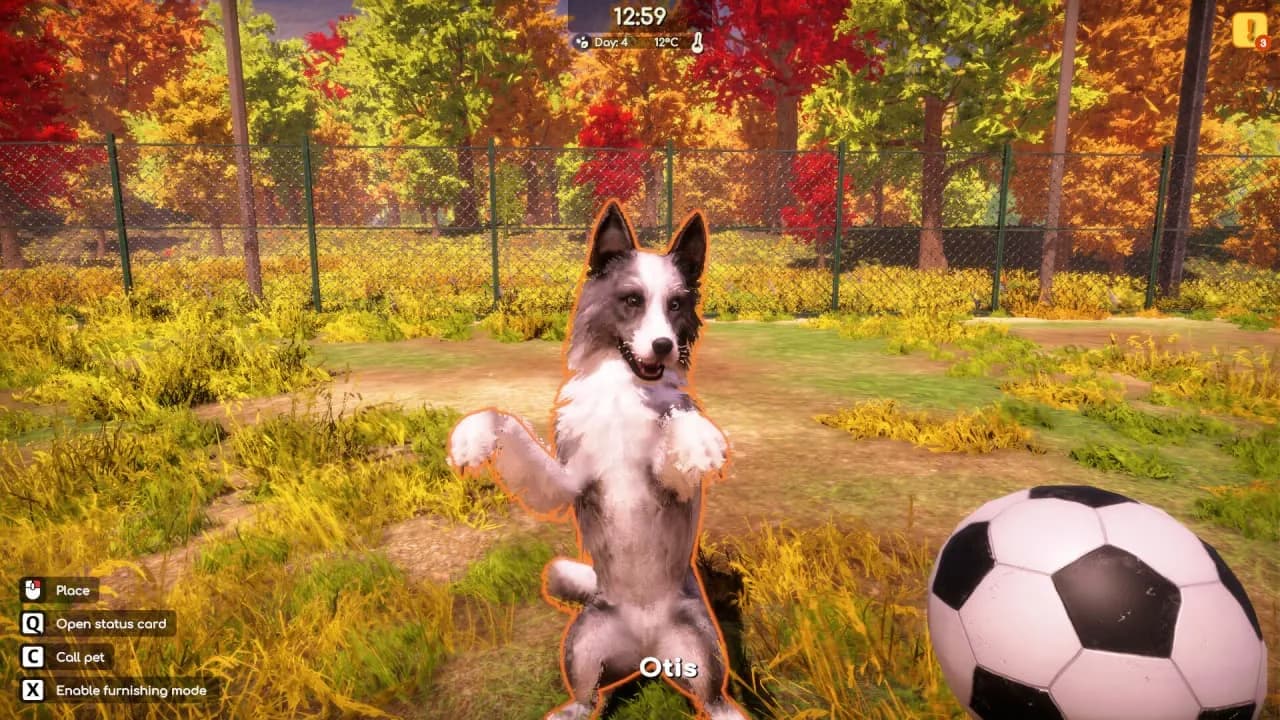 Animal Shelter 2 — скриншот 7