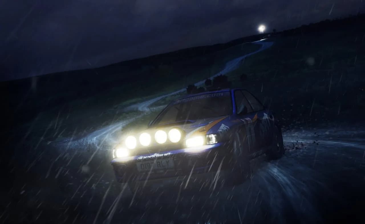 DiRT Rally — скриншот 8