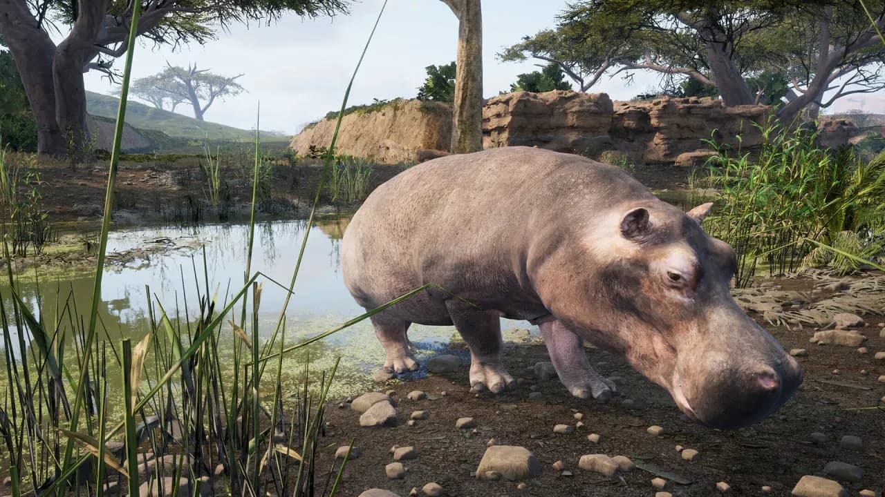 Animalia Survival — скриншот 12