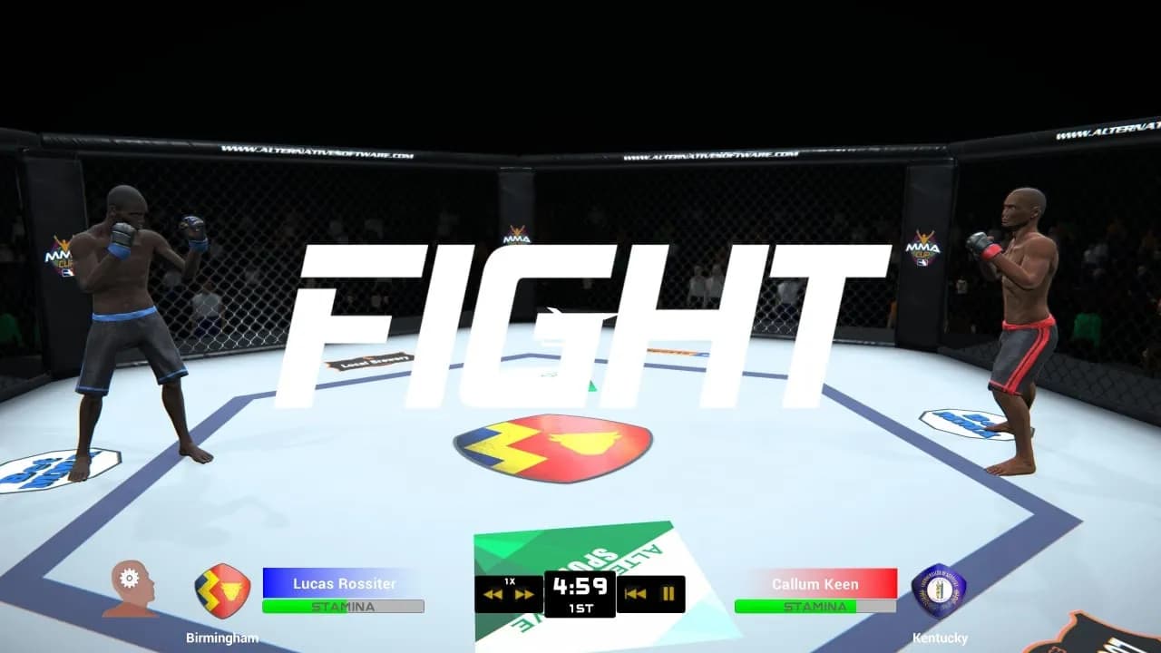MMA Team Manager — скриншот 2