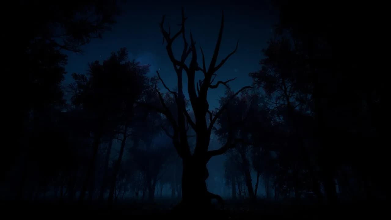 Slender: The Arrival — скриншот 8