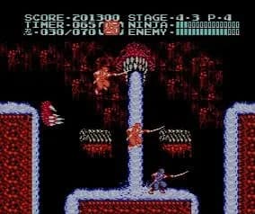 Ninja Gaiden - Дилогия — скриншот 10