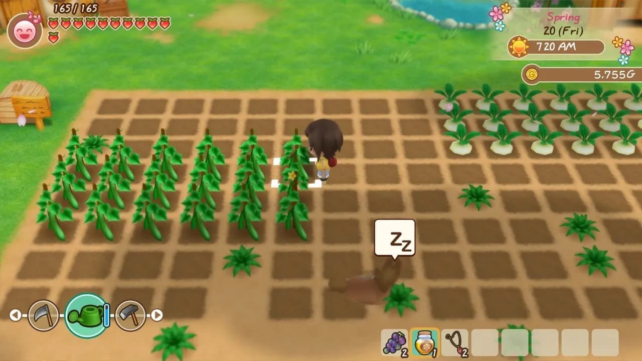 STORY OF SEASONS: Friends of Mineral Town — скриншот 3