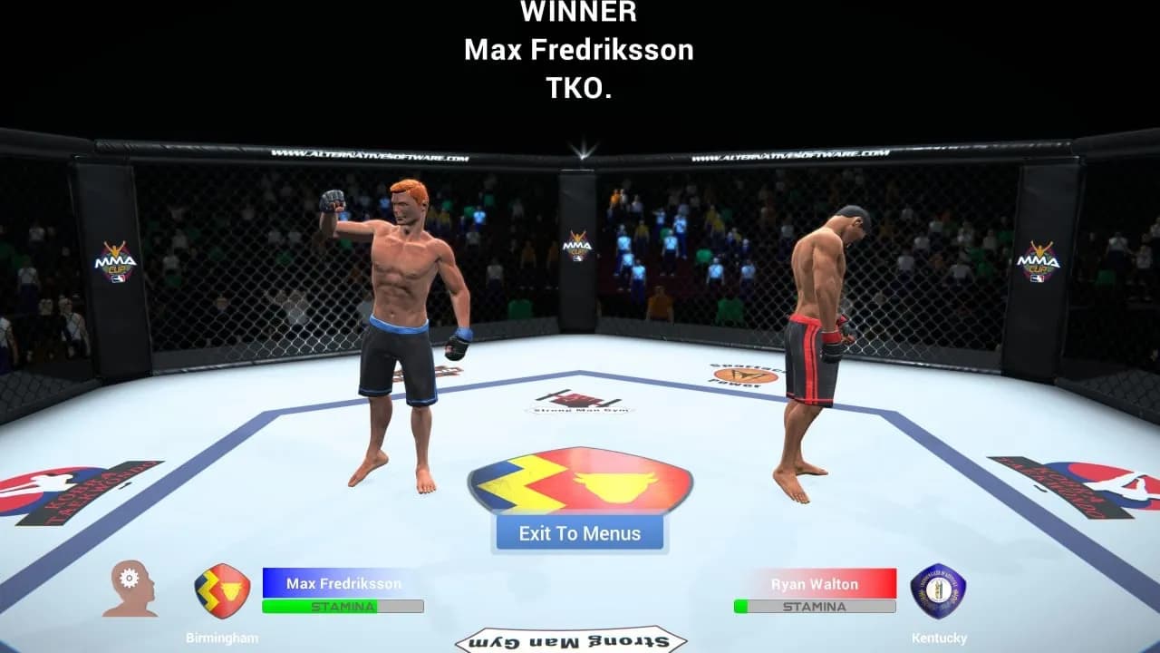 MMA Team Manager — скриншот 8