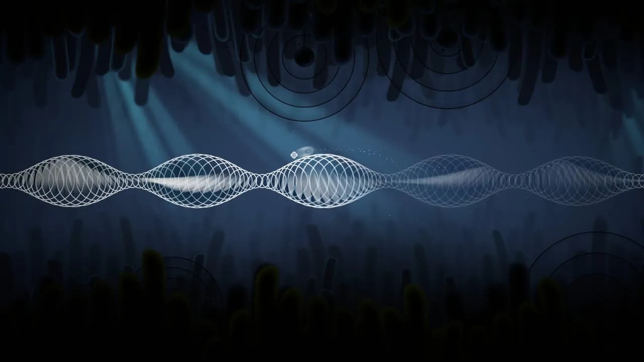 Onde — скриншот 5