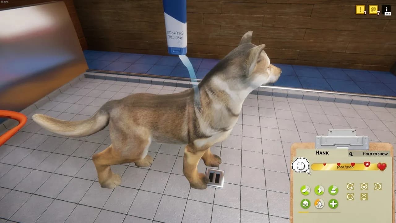 Animal Shelter — скриншот 9