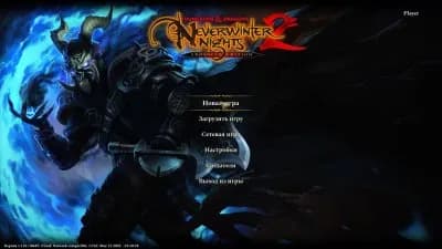 Dungeons & Dragons Neverwinter Nights 2 Enhanced Edition — скриншот 7