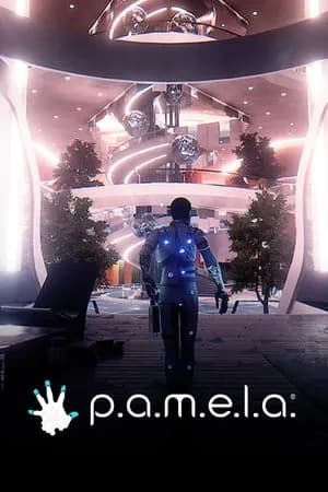 Обложка PAMELA