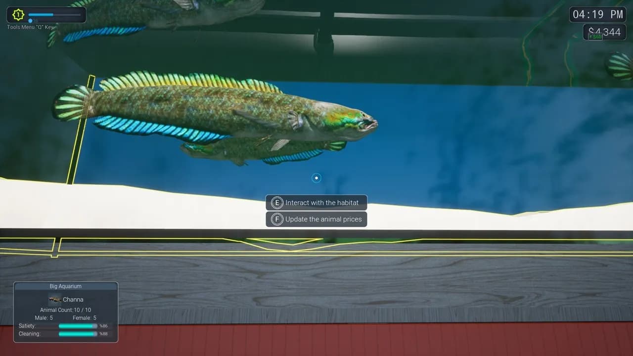 Exotica 2 Pet Shop Simulator — скриншот 6