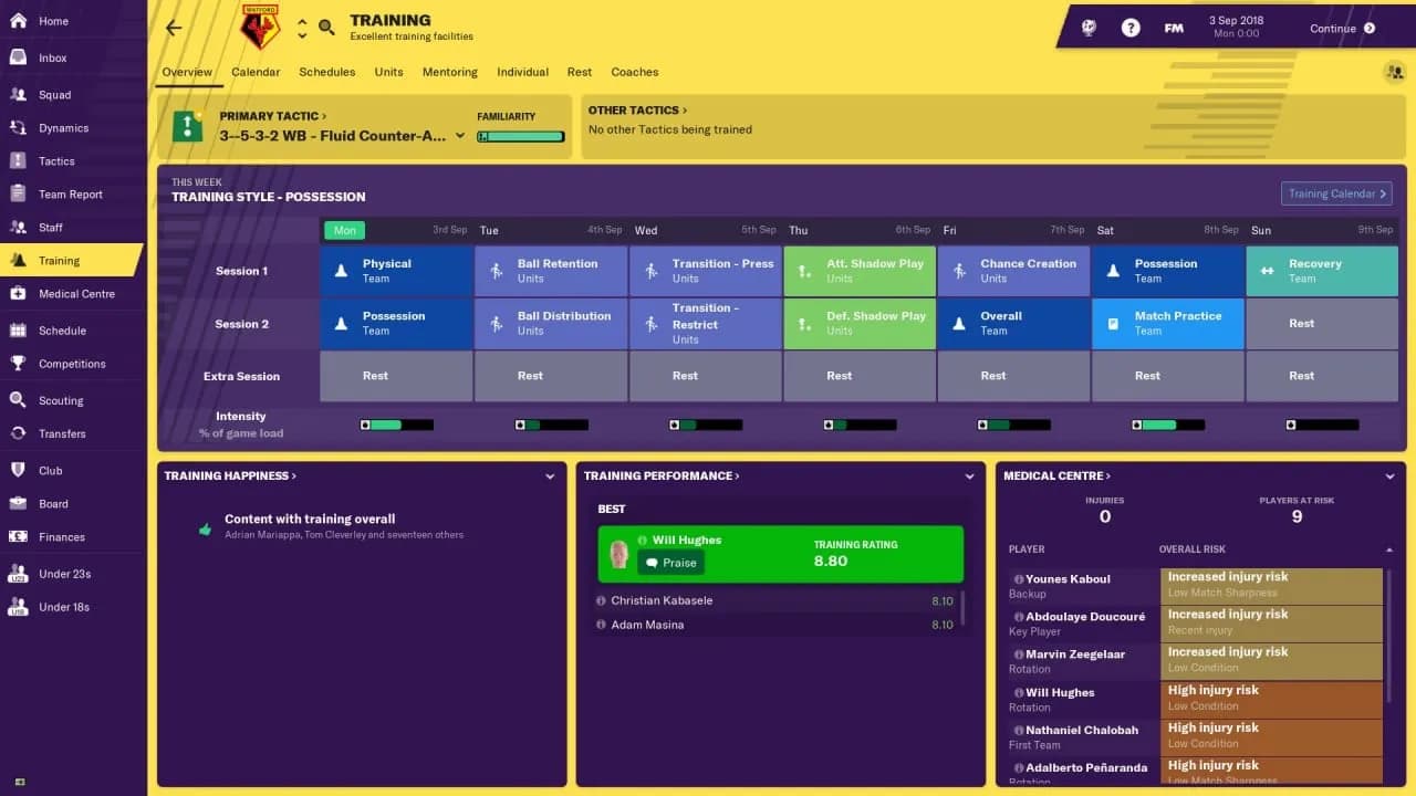 Football Manager 2019 — скриншот 5