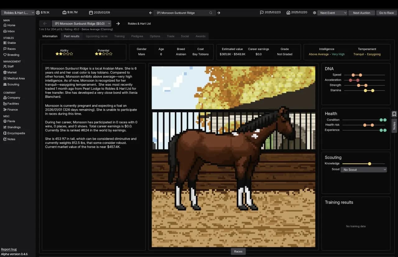 Horse Racing Manager — скриншот 6