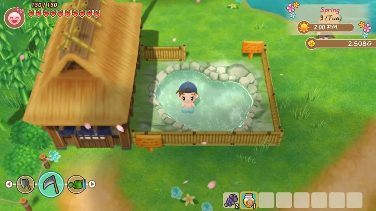 STORY OF SEASONS: Friends of Mineral Town — скриншот 10