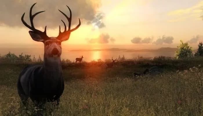 The Hunter — скриншот 3
