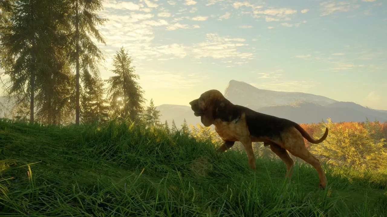 theHunter: Call of the Wild - Bloodhound — скриншот 4