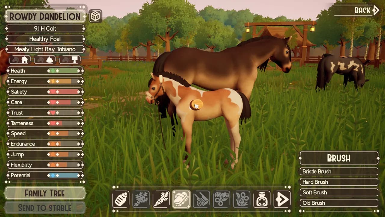 The Ranch of Rivershine — скриншот 8