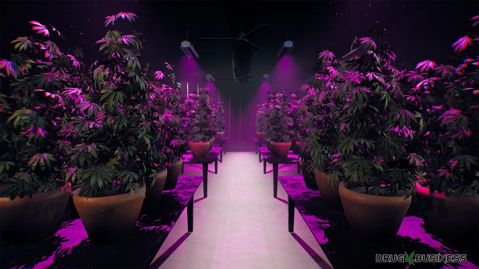 Drug Business — скриншот 1