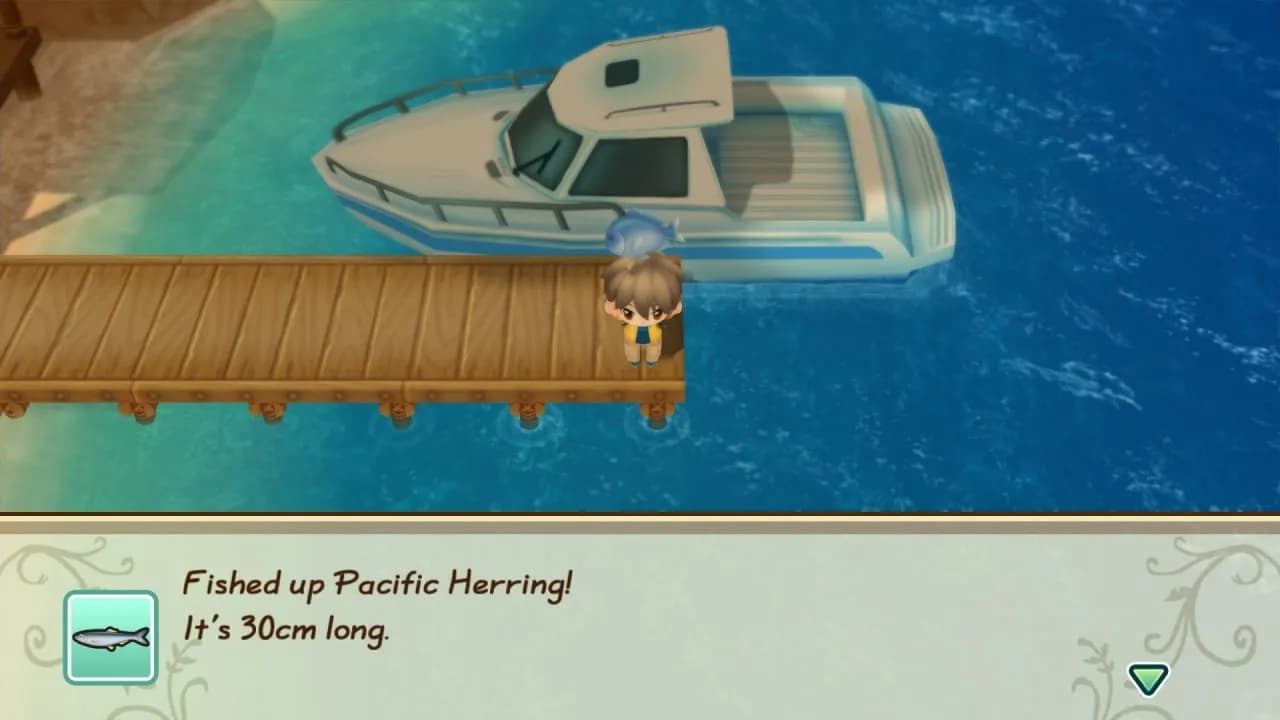STORY OF SEASONS: Friends of Mineral Town — скриншот 5