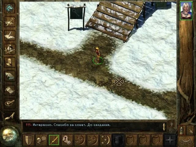 Icewind Dale (classic) — скриншот 5