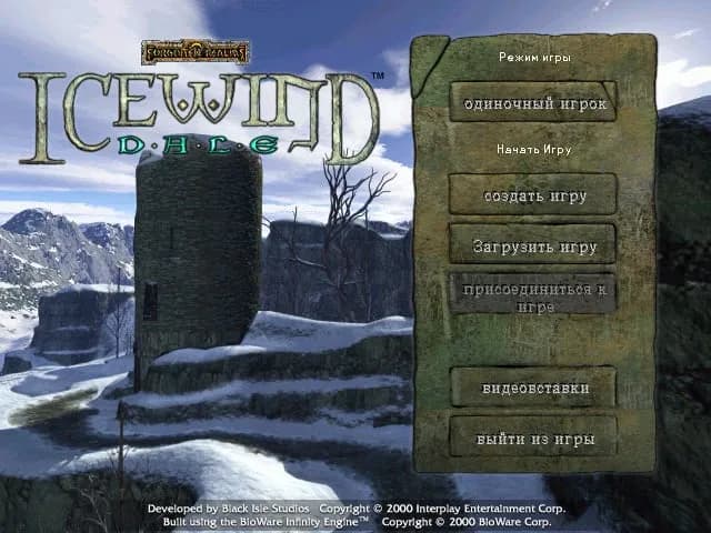 Icewind Dale (classic) — скриншот 1