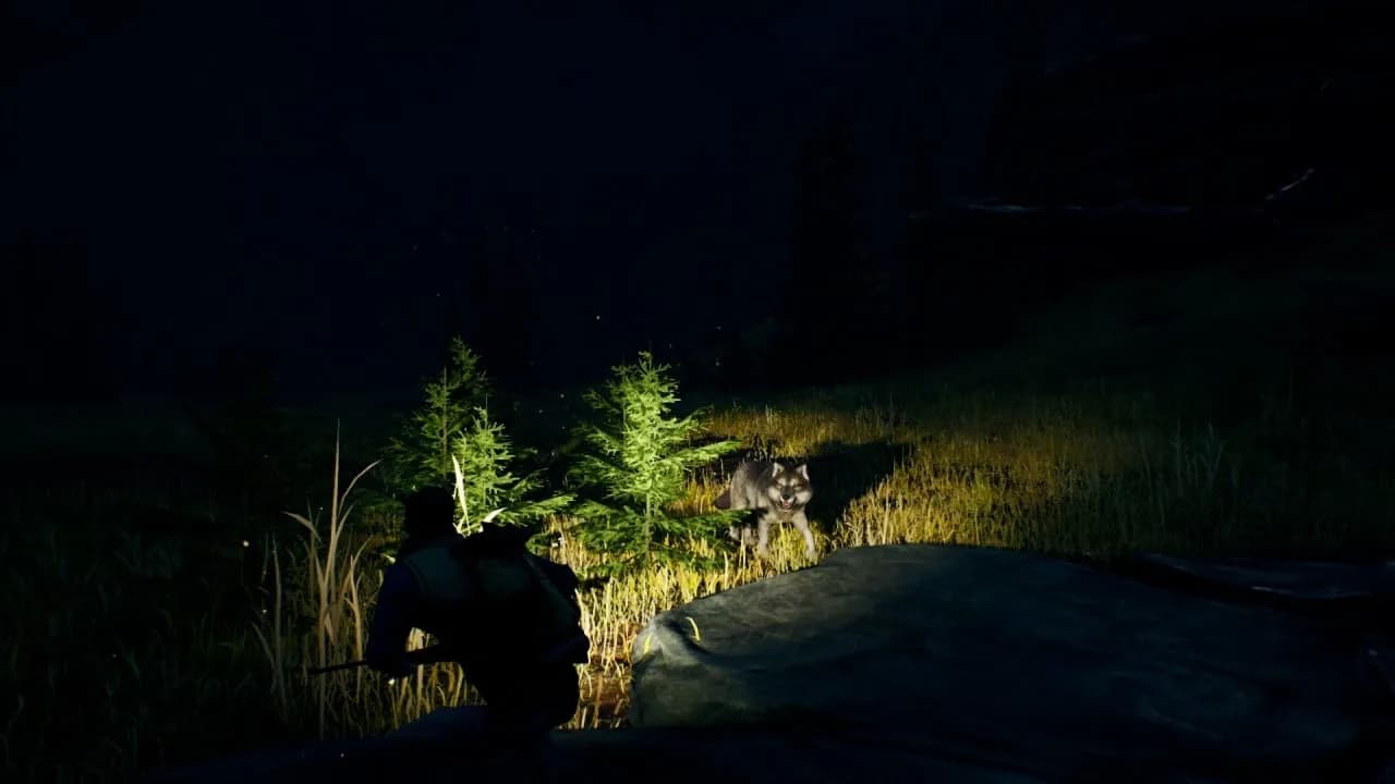 Open Country — скриншот 3