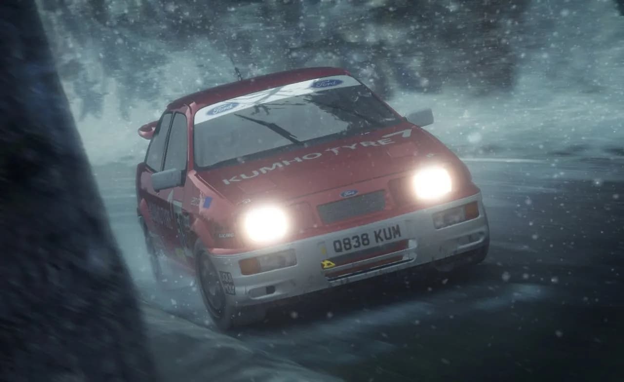 DiRT Rally — скриншот 7