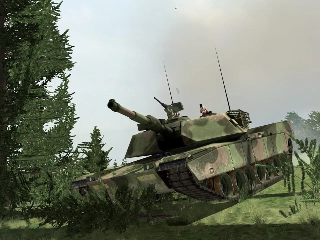 Armed Assault Gold (ArmA Gold) — скриншот 1