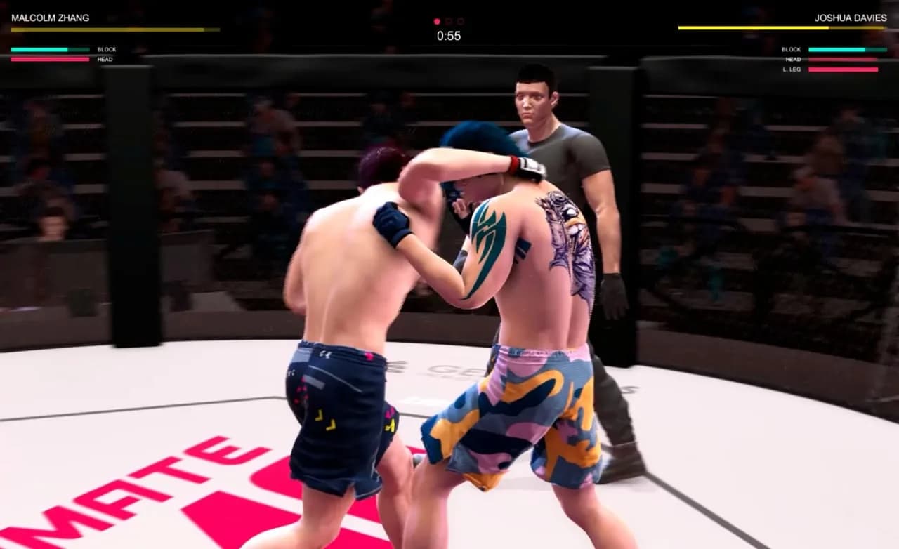 Ultimate MMA — скриншот 12