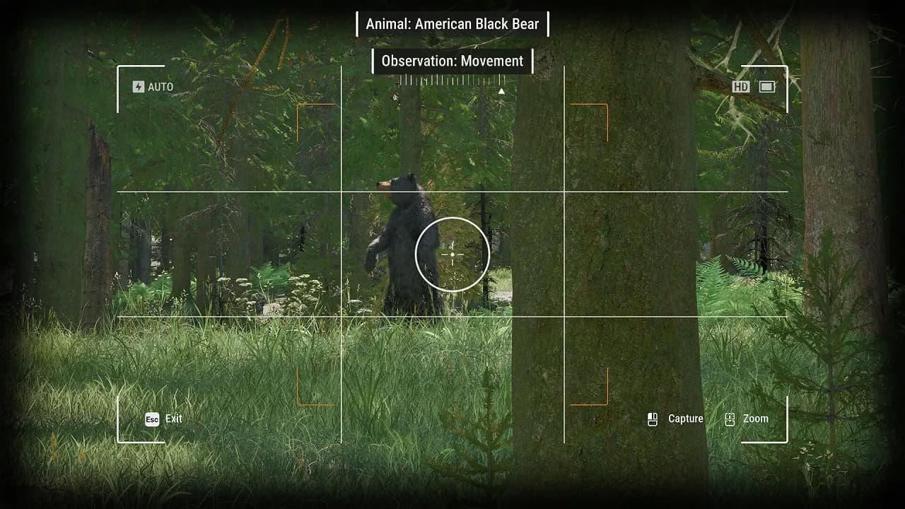 Ranger’s Path National Park Simulator — скриншот 4