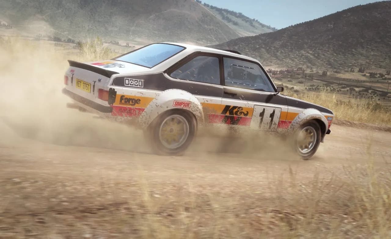DiRT Rally — скриншот 12