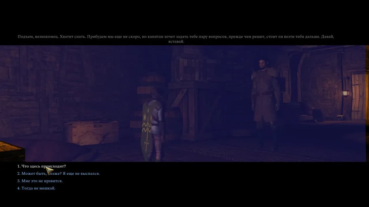 Dungeons & Dragons Neverwinter Nights 2 Enhanced Edition — скриншот 3