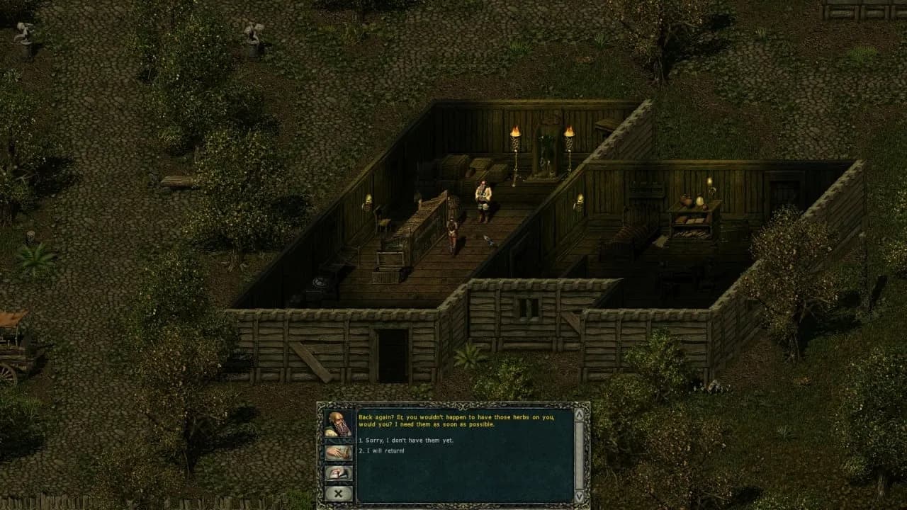 Divine Divinity — скриншот 4