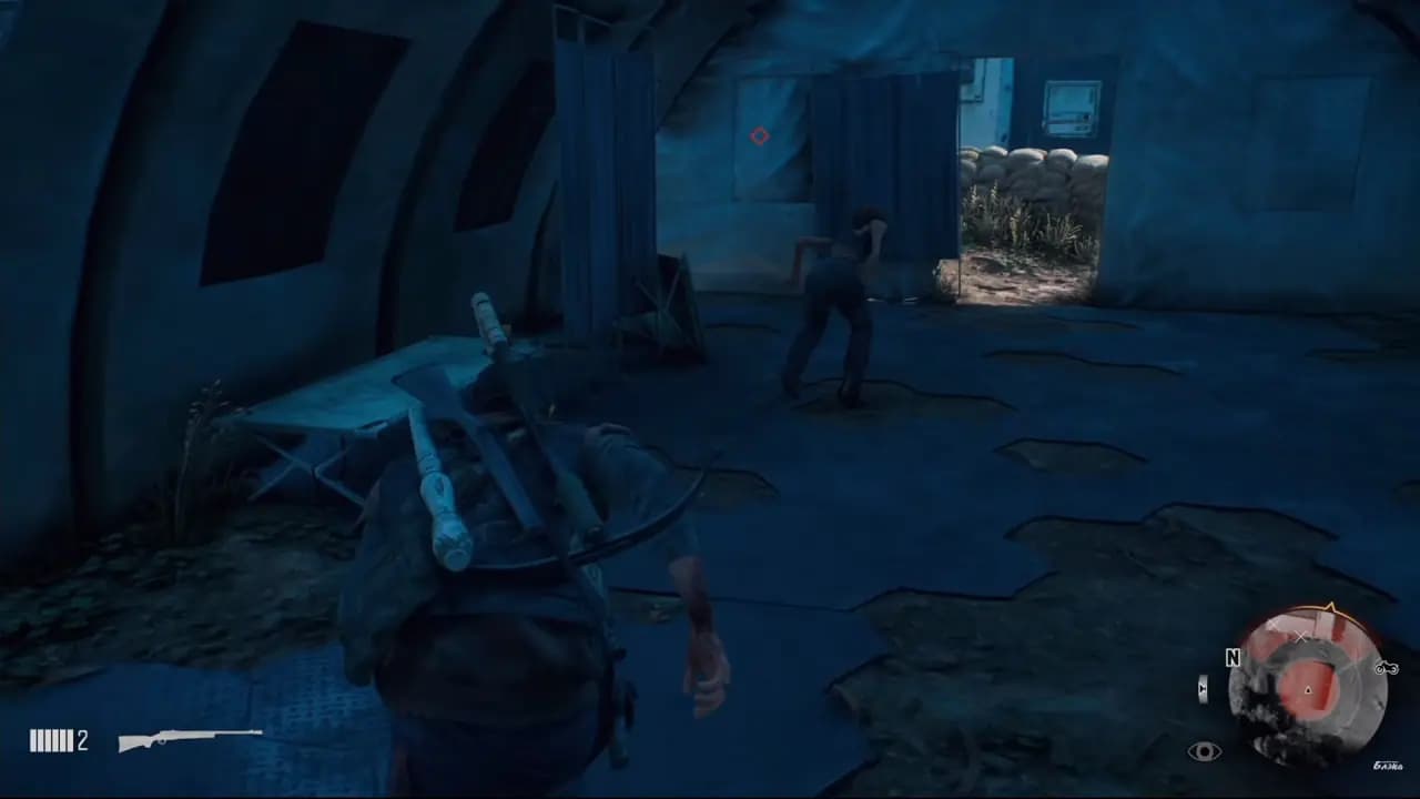 Days Gone — скриншот 3