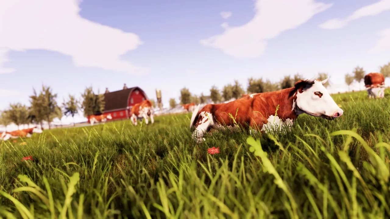 Real Farm — скриншот 3