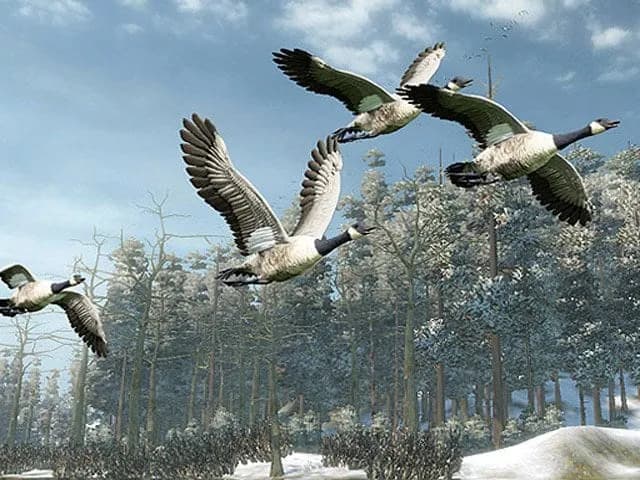 Cabela's Outdoor Adventures — скриншот 3