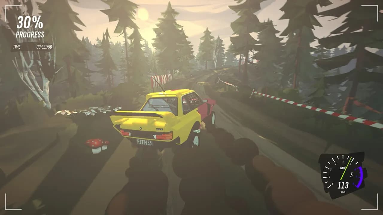 DRIVE Rally — скриншот 9