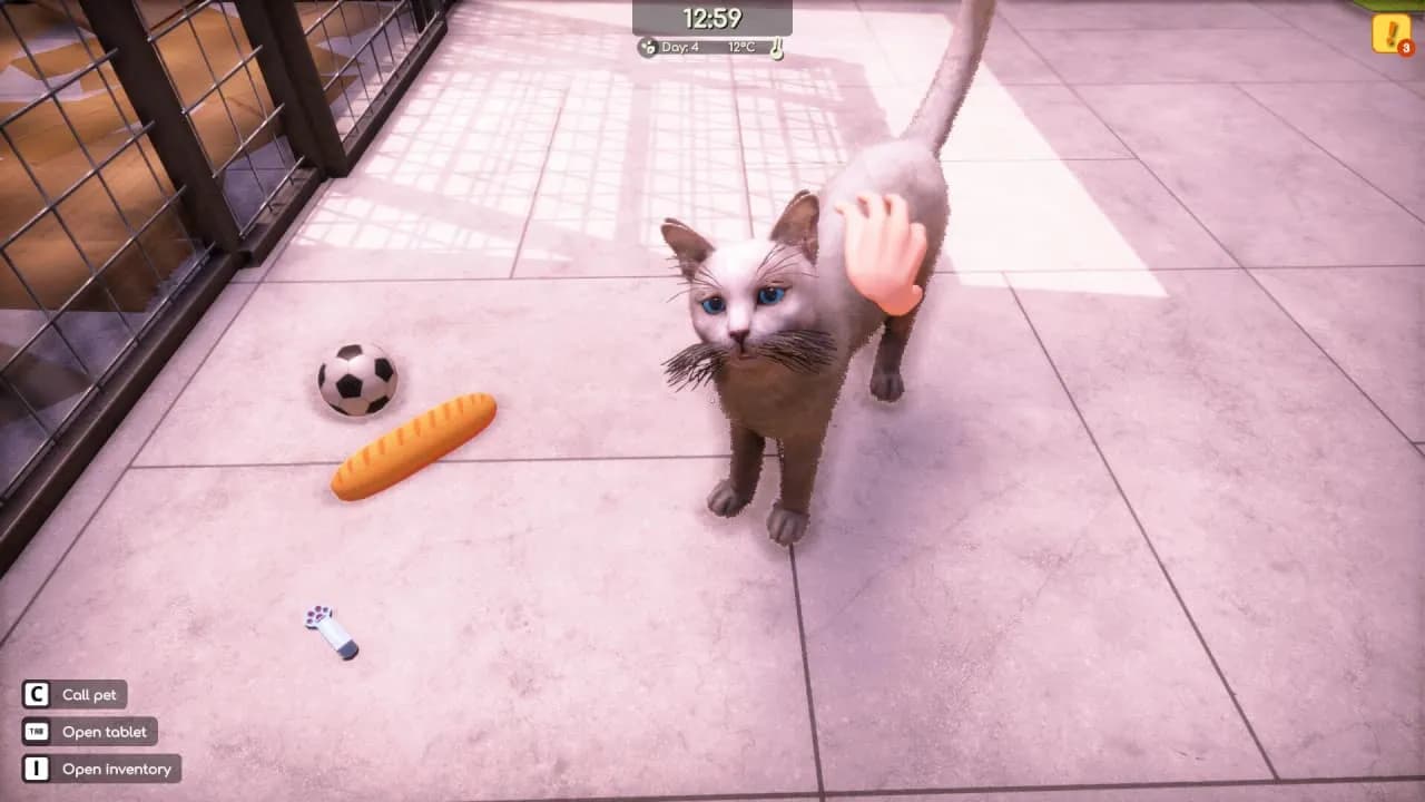 Animal Shelter 2 — скриншот 2