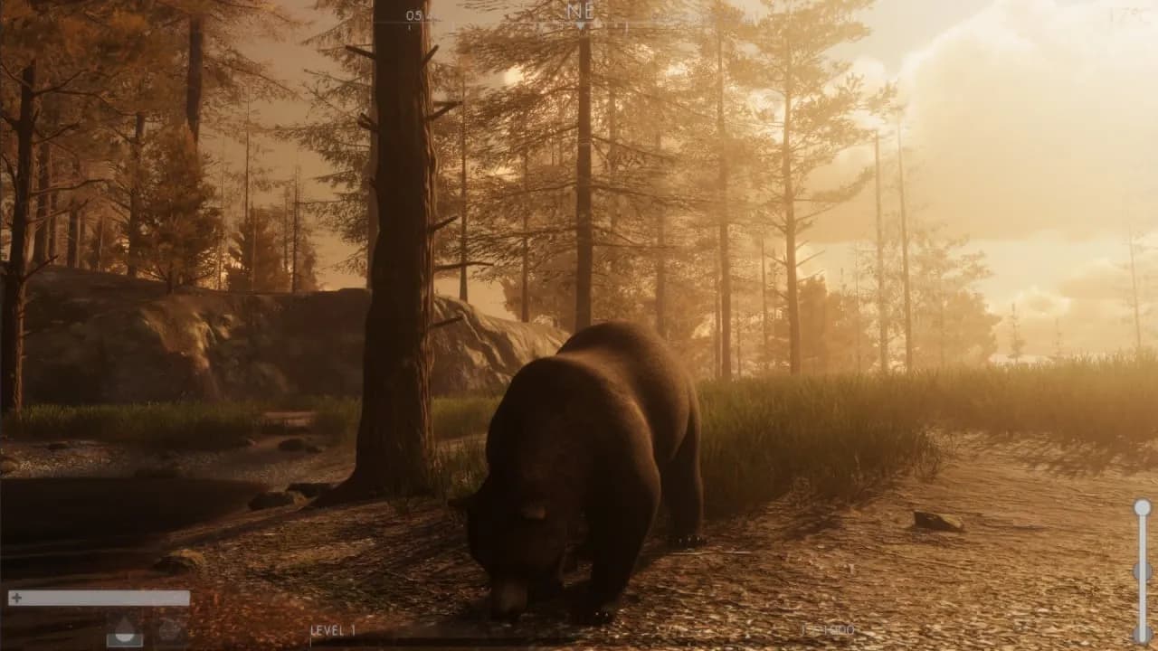 The WILDS — скриншот 2
