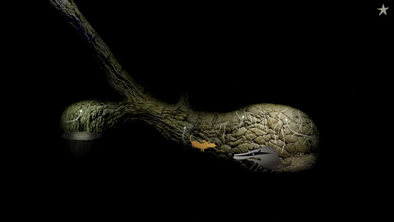 Samorost 2 — скриншот 2