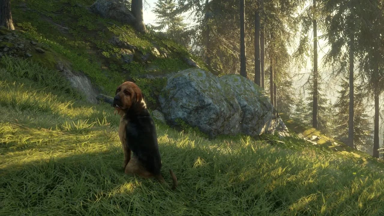 theHunter: Call of the Wild - Bloodhound — скриншот 5