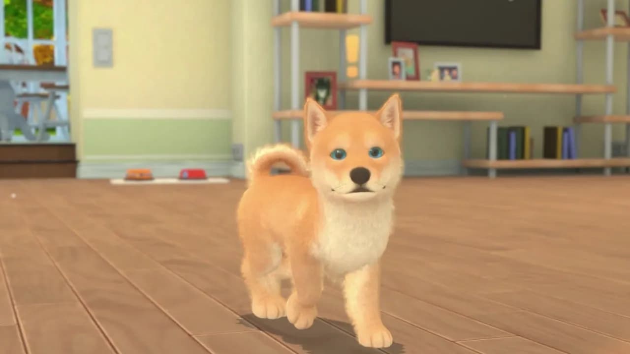 My Universe - Puppies and Kittens — скриншот 2