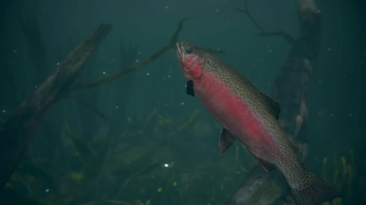 Ultimate Fishing Simulator 2 — скриншот 1