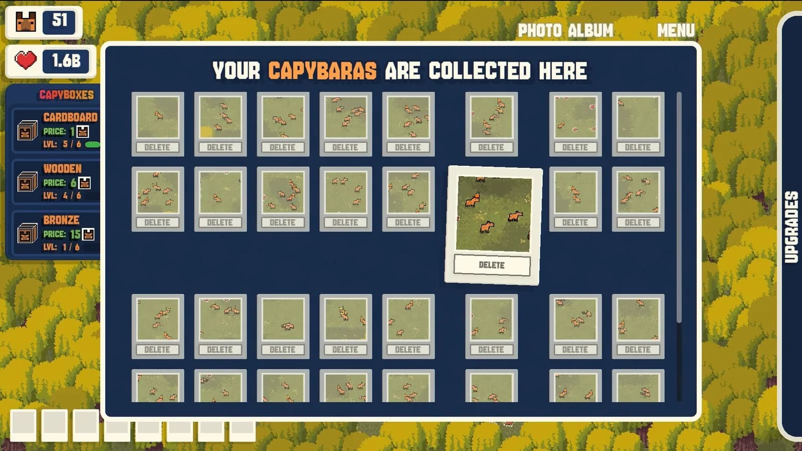 CapyCam — скриншот 4