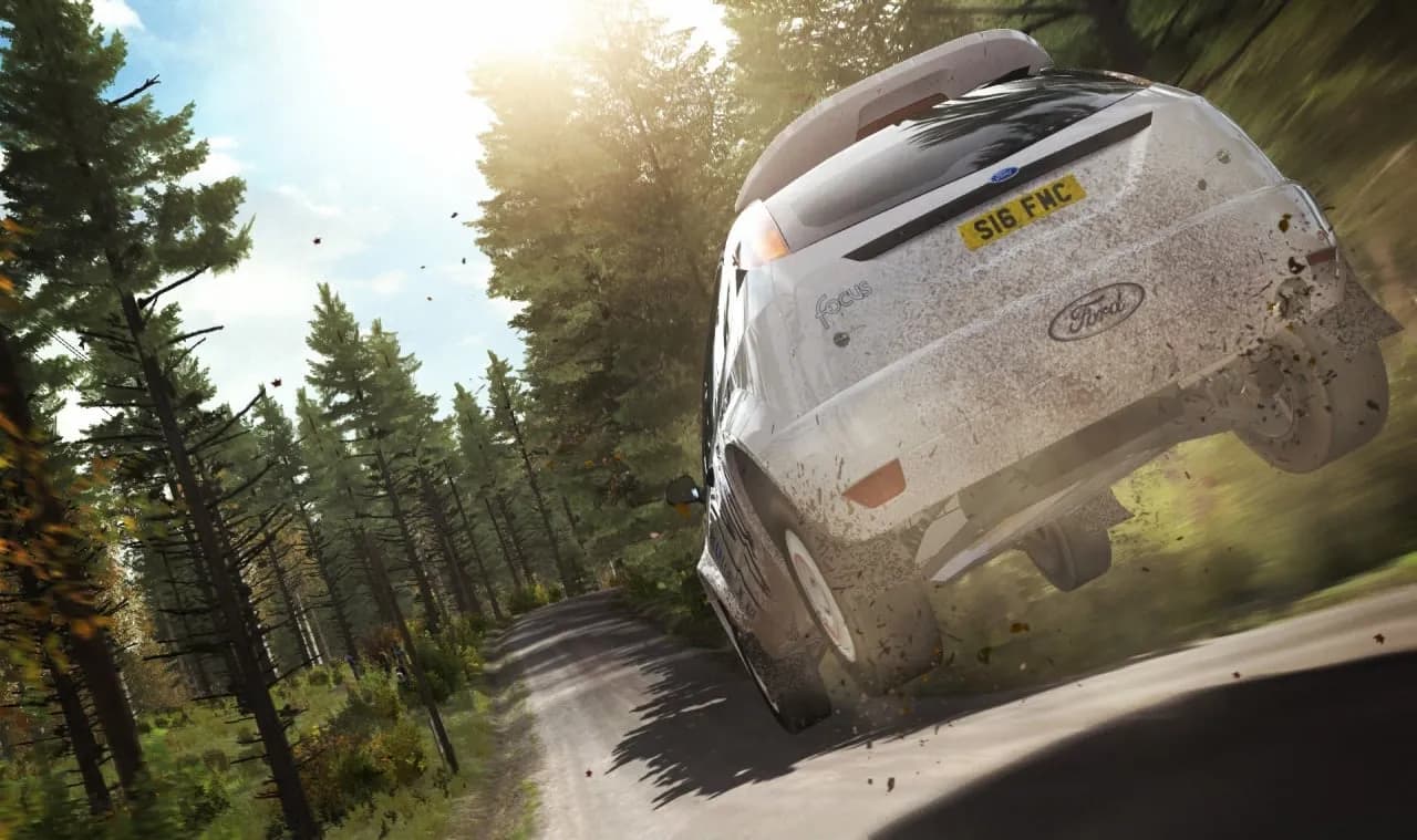 DiRT Rally — скриншот 11