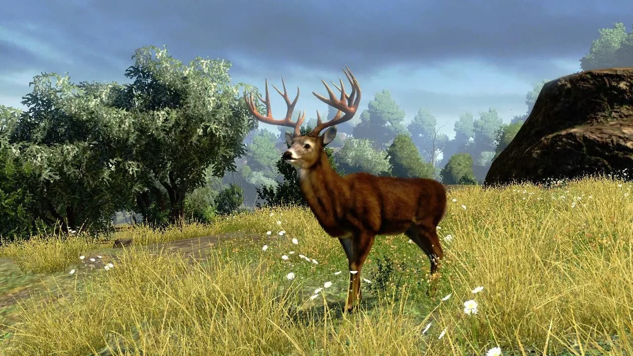 Cabela's Outdoor Adventures — скриншот 7