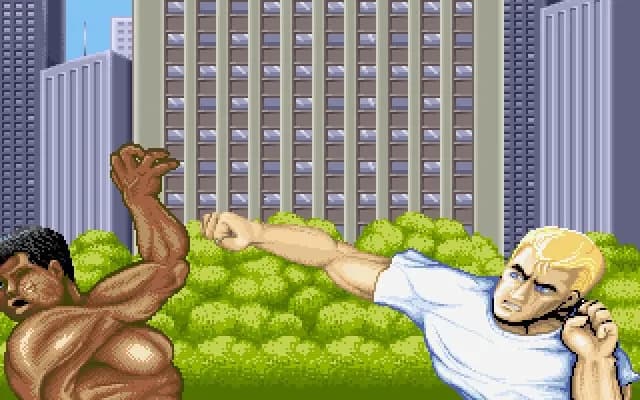 Street Fighter + Street Fighter 2 World Warrior — скриншот 4