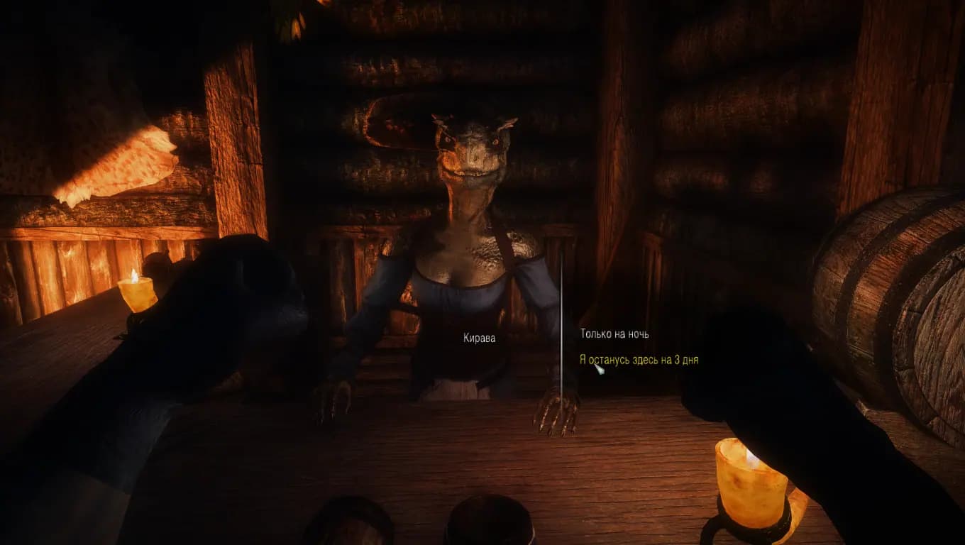 The Elder Scrolls V: Skyrim — скриншот 3