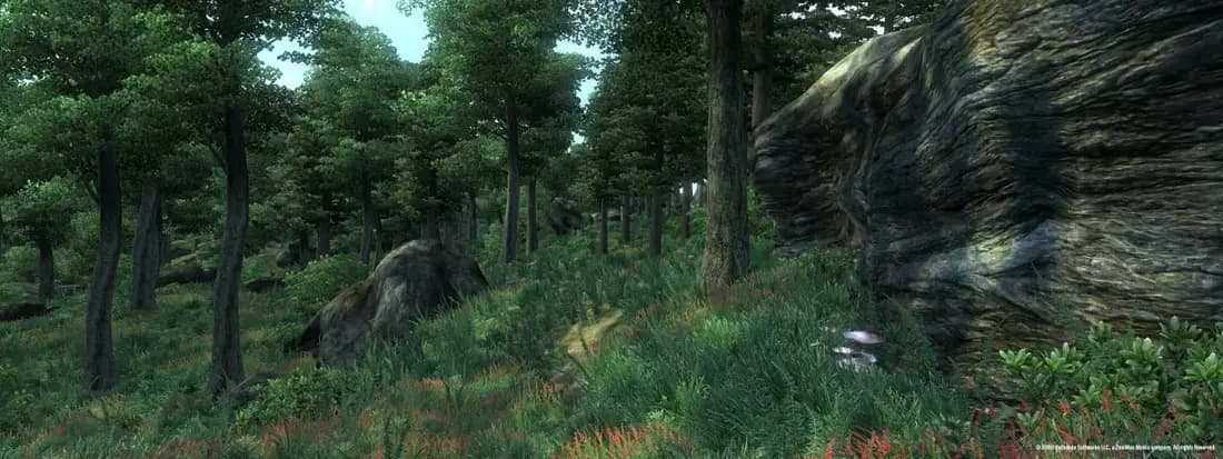 The Elder Scrolls 4: Oblivion Game of the Year Edition — скриншот 2